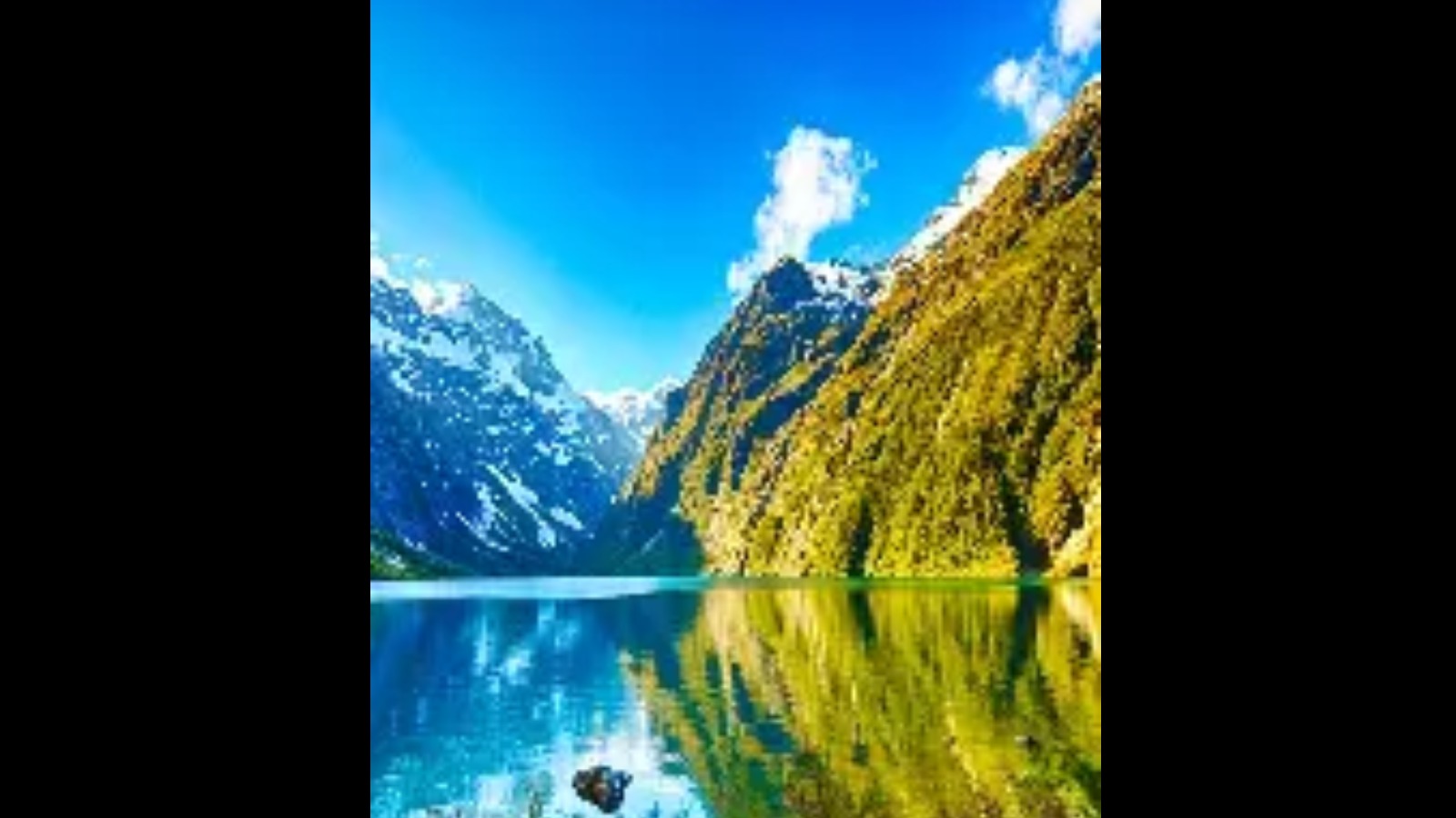 Cover photo showcasing Free Souls Club's brand and style