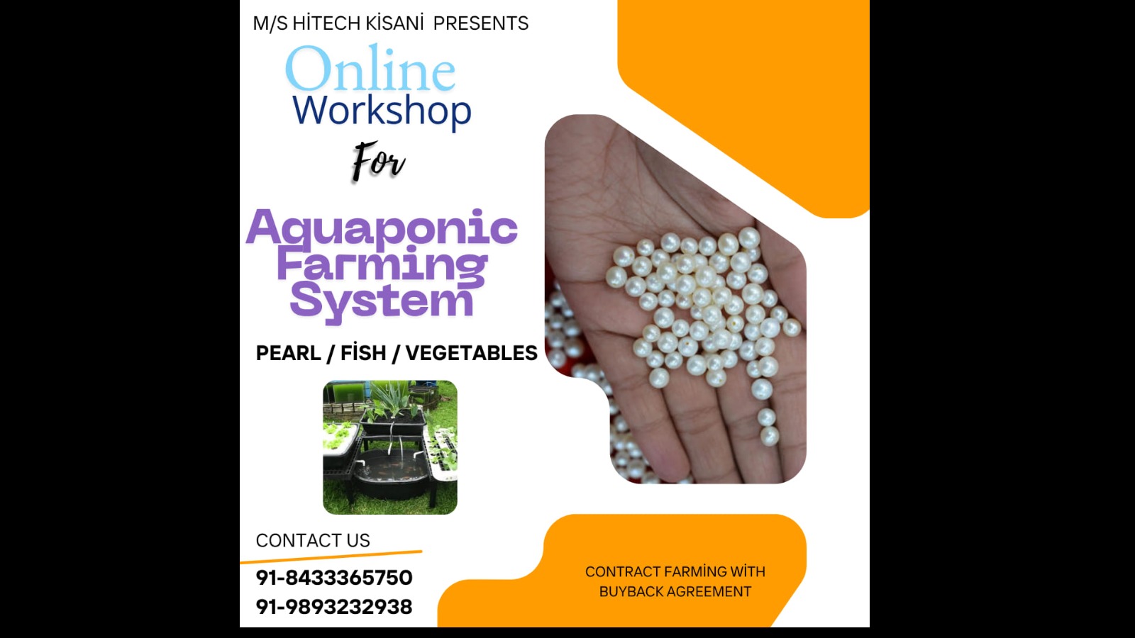 Online Workshop For Aquaponic Farming System