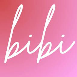 NanoBiBi logo - Image Generation brand identity