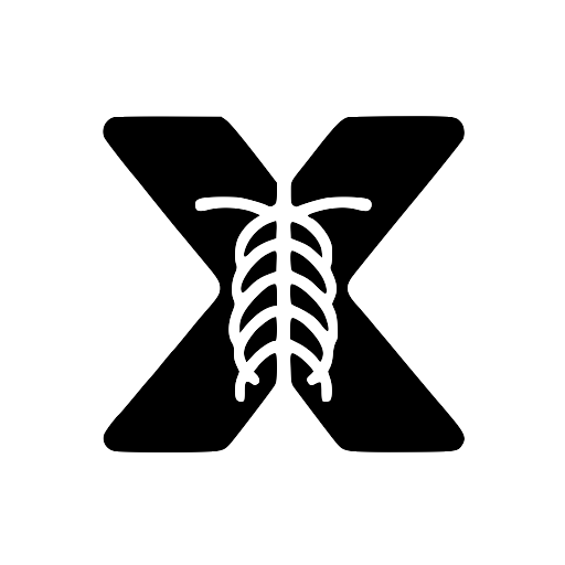 X-ray Interpreter logo - Scientific Research brand identity