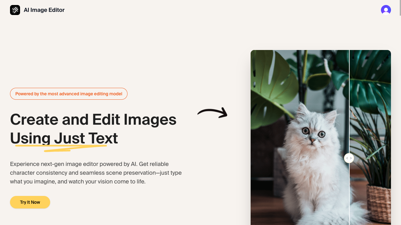 AI Image Editor Design interface showing ai image editor and features
