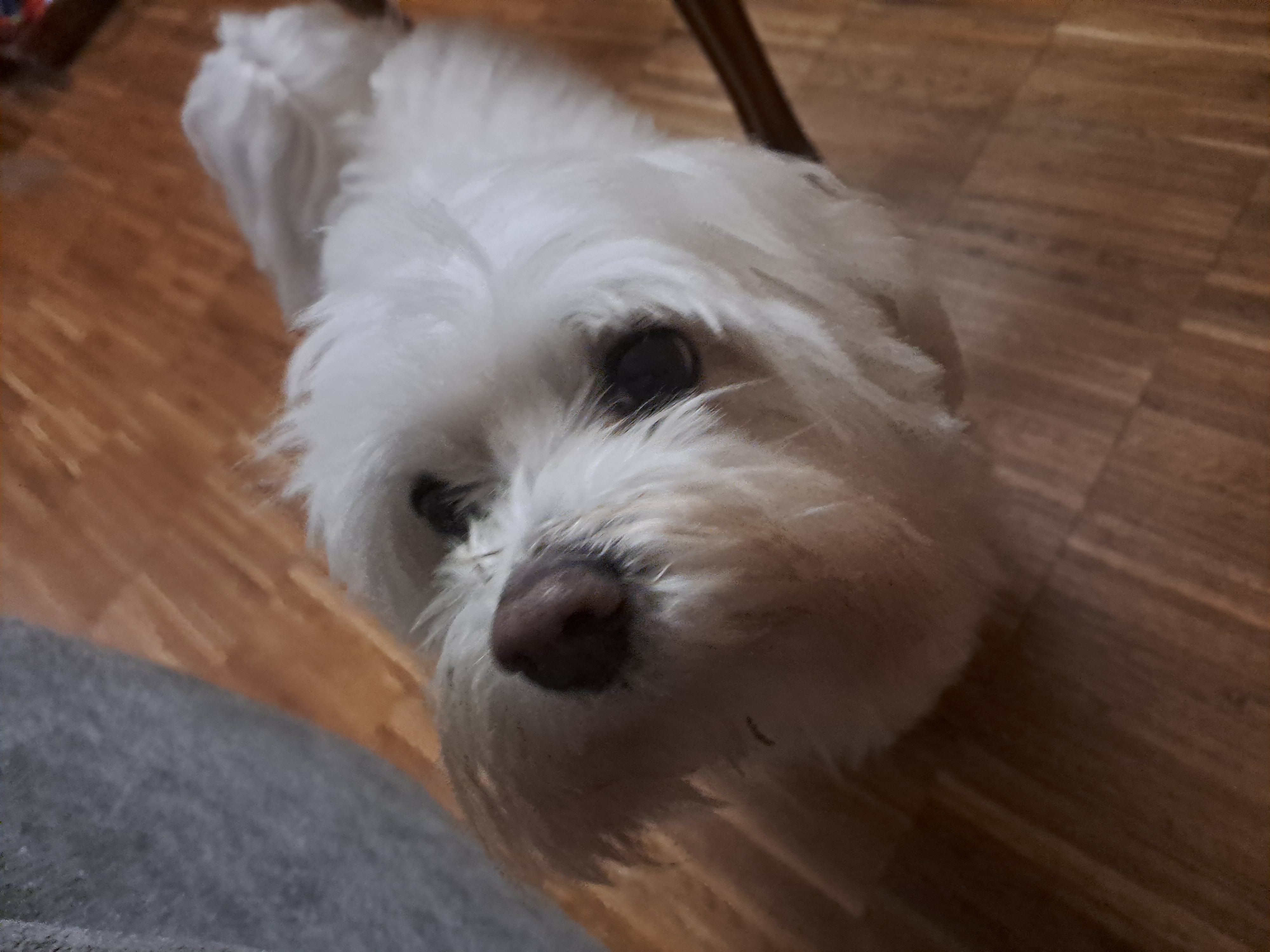 Reviewer profile picture