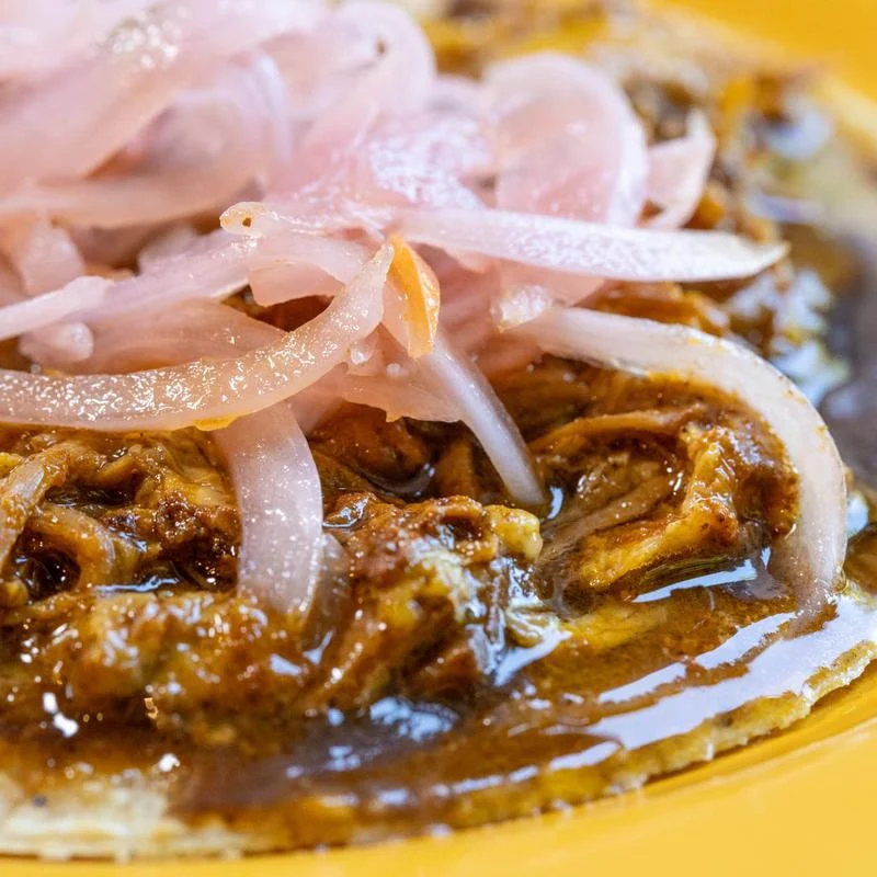 Cochinita Pibil Taco at Central Taqueria in Morristown, NJ