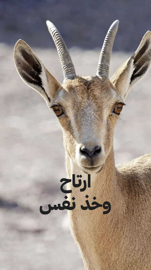 عبارة — ارتاح وخذ نفس