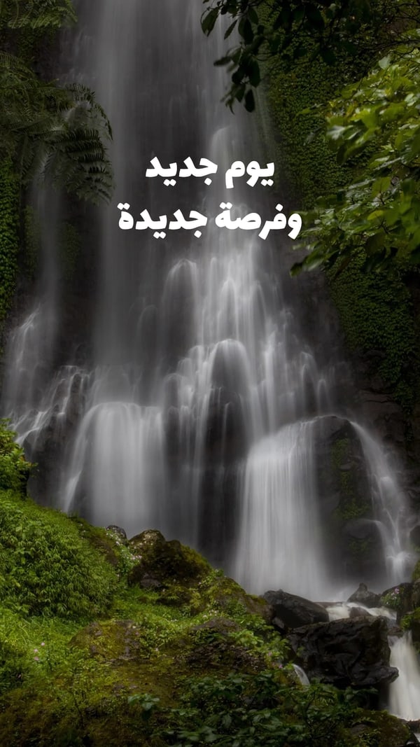 عبارة — يوم جديد وفرصة جديدة