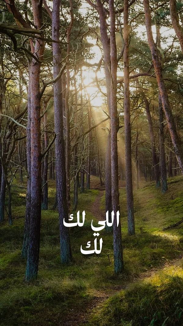 عبارة — اللي لك لك