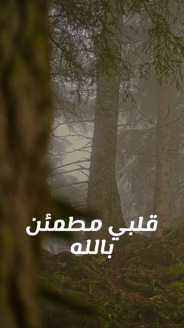عبارة — قلبي مطمئن بالله