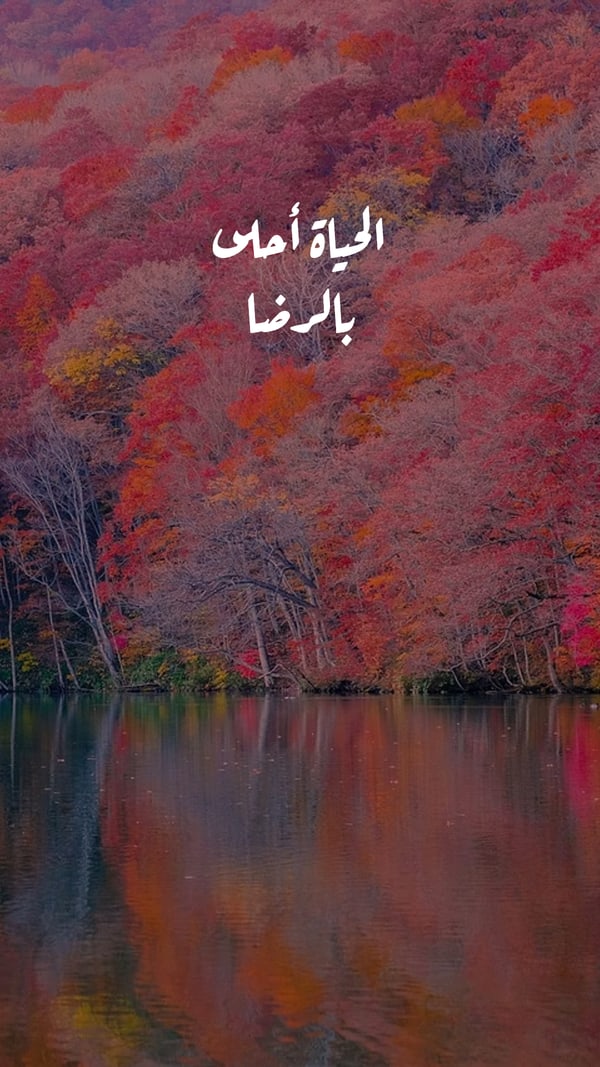 عبارة — الحياة أحلى بالرضا
