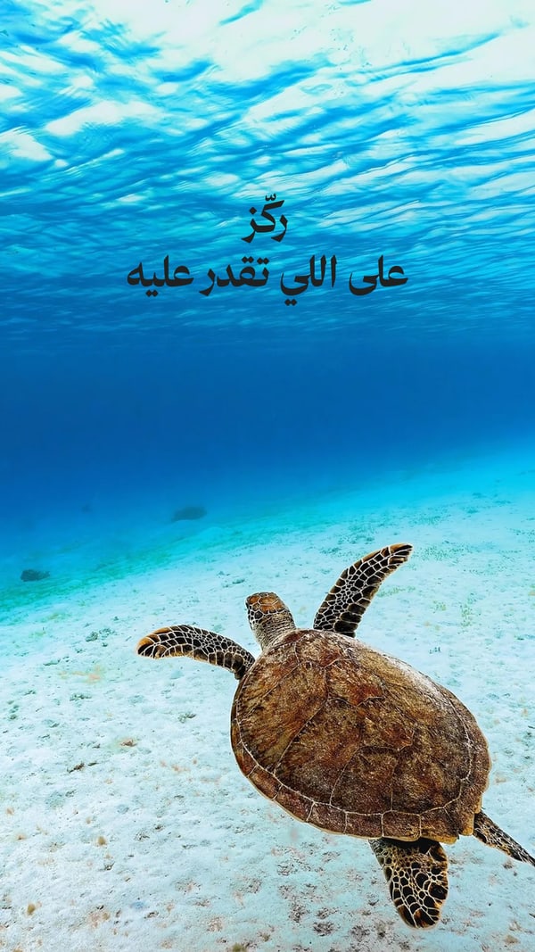 عبارة — ركّز على اللي تقدر عليه