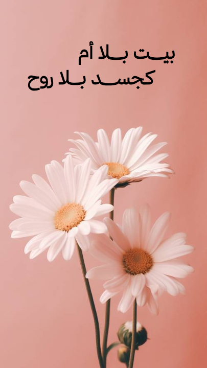 بيت بلا أم