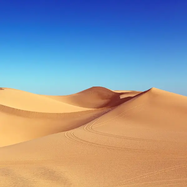 خلفية طبيعية 2
