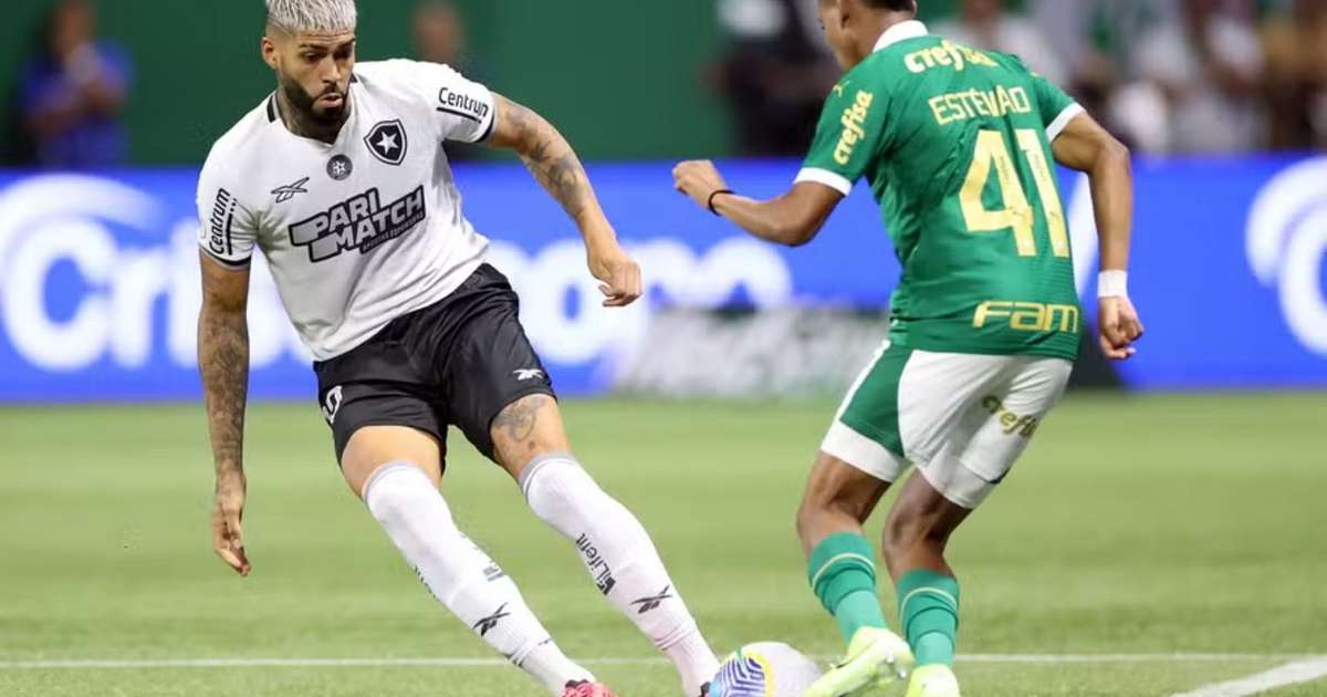 Narrador faz comparação entre elencos de Palmeiras e Botafogo