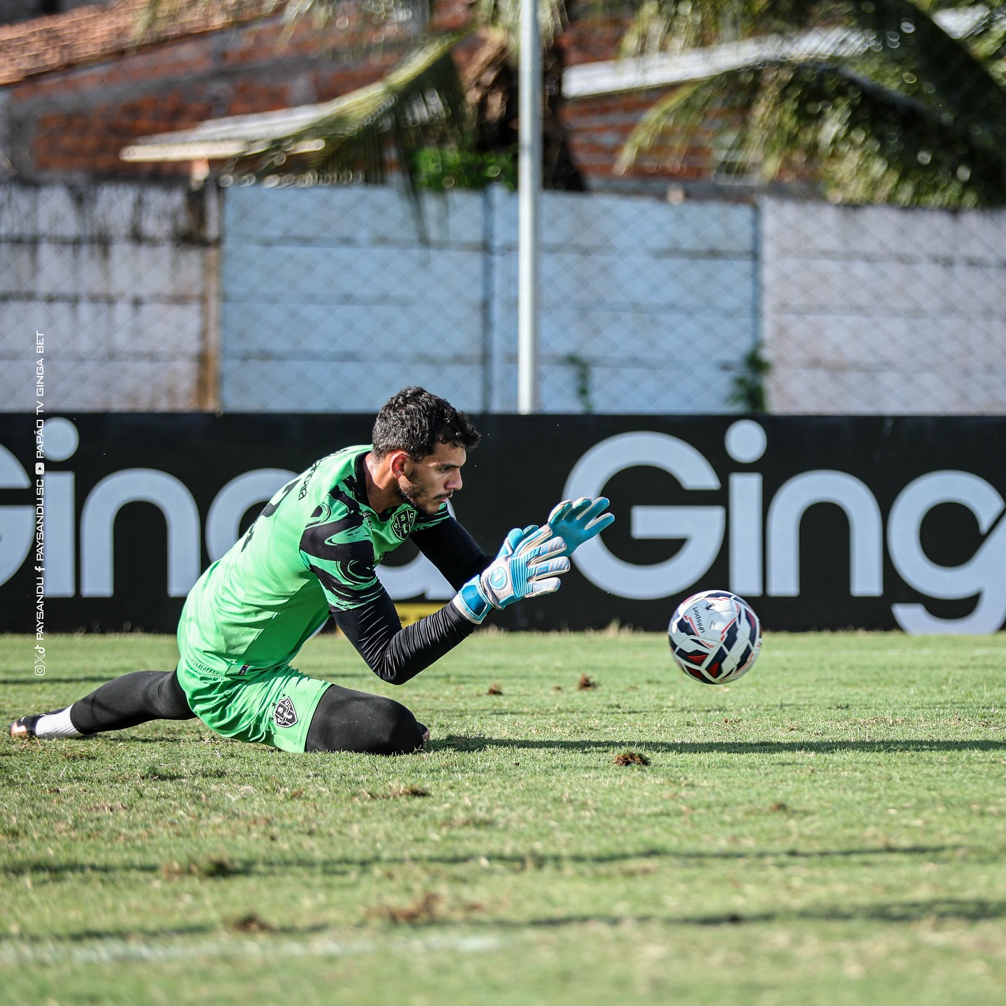 Avaí x Paysandu: retrospecto mostra equilíbrio em confrontos históricos