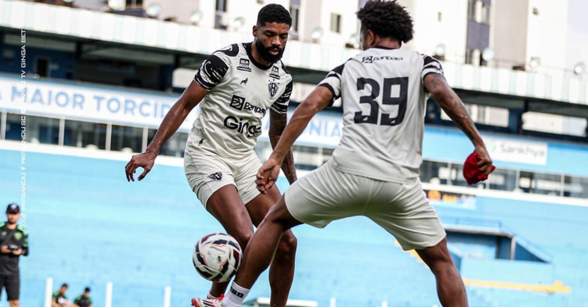 Paysandu x Botafogo-SP: onde assistir ao vivo e tudo sobre o jogo da Série B