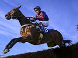 Robin Goodfellow's racing tips: Best bets for Tuesday, June 24