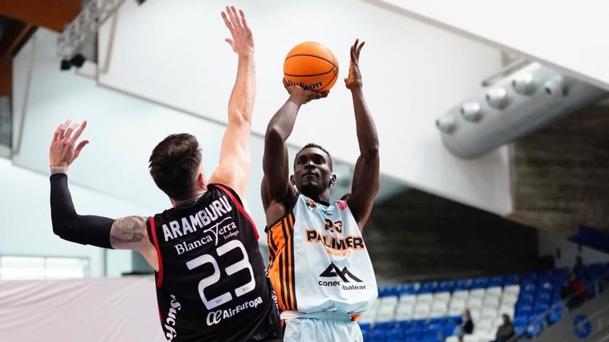 El Palmer Basket y el Fibwi Palma ya conocen su calendario en la Primera FEB