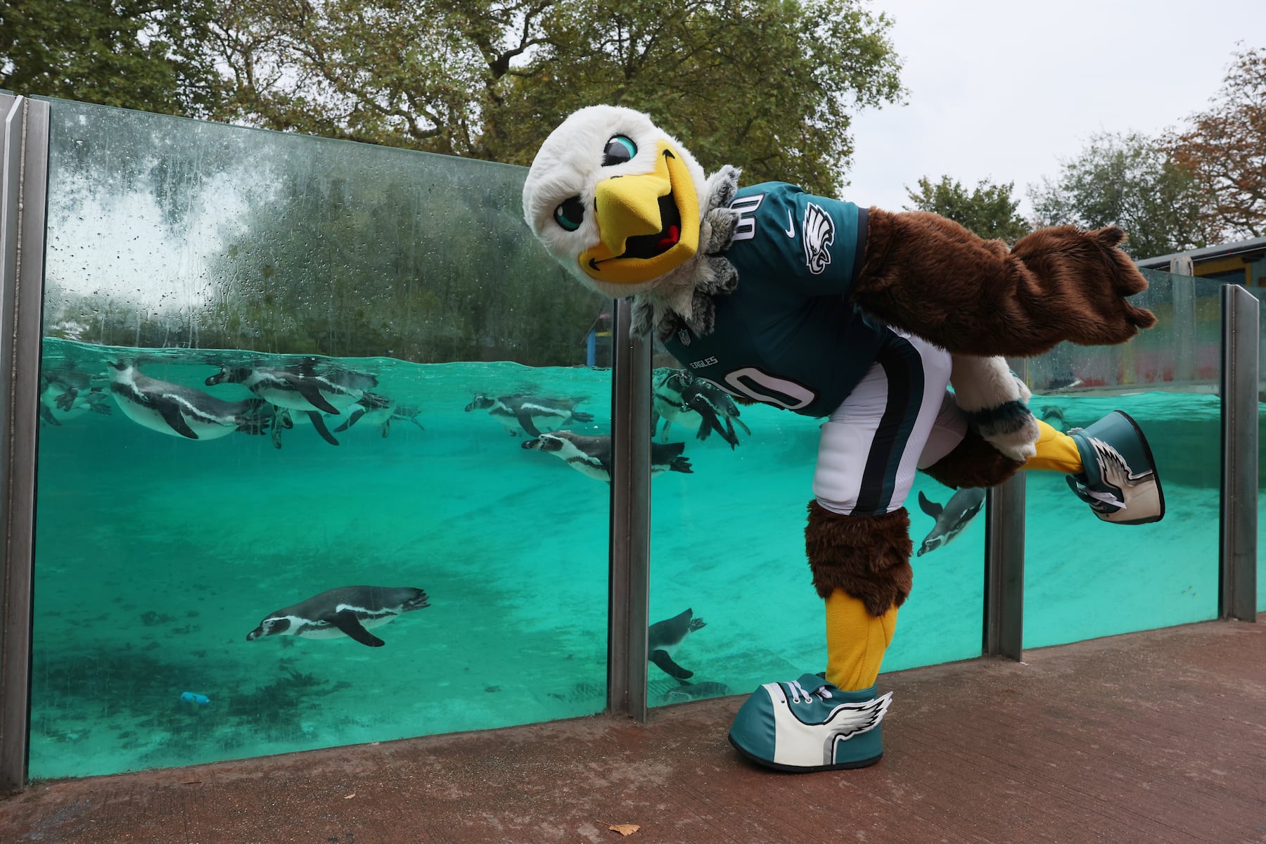 Jaguars Host Eagles in London: Key Injury Updates and Game Preview
