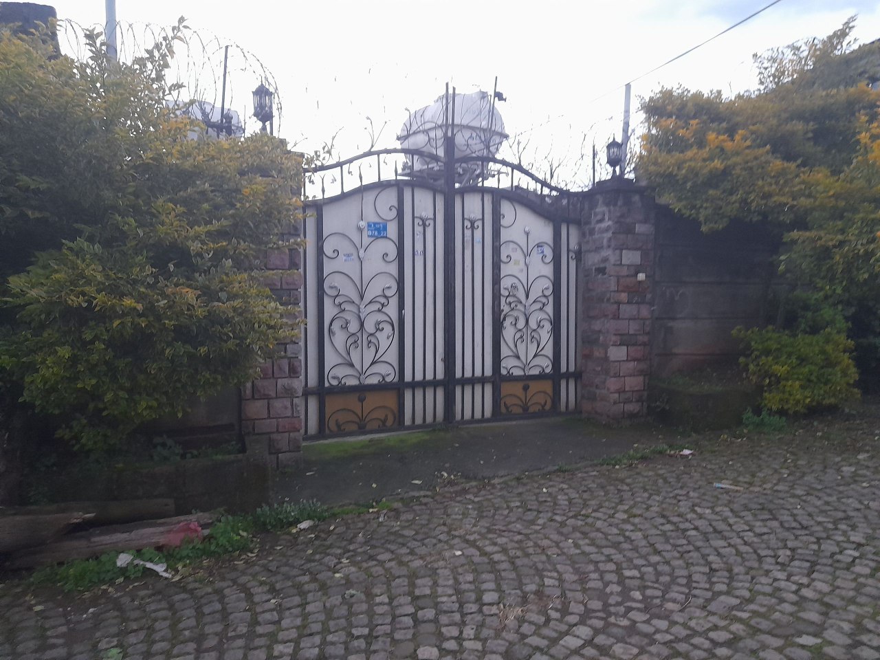 Selected property view