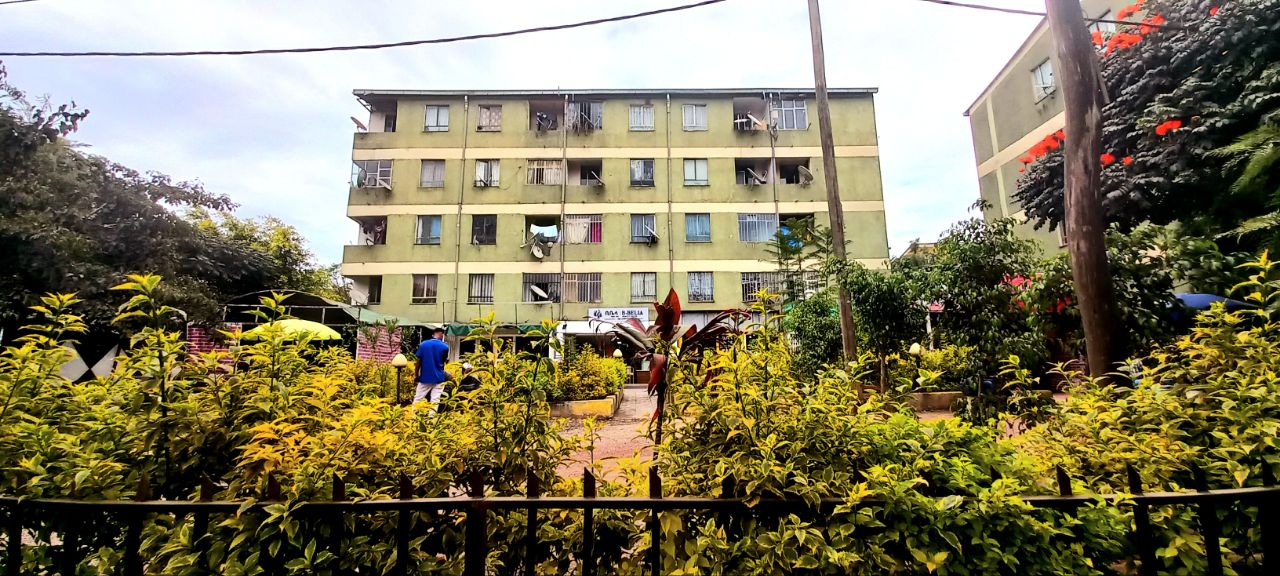 Selected property view