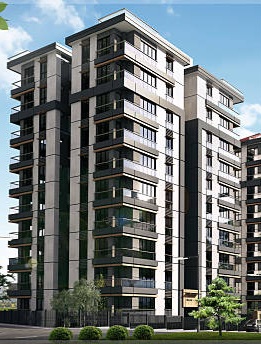 Selected property view