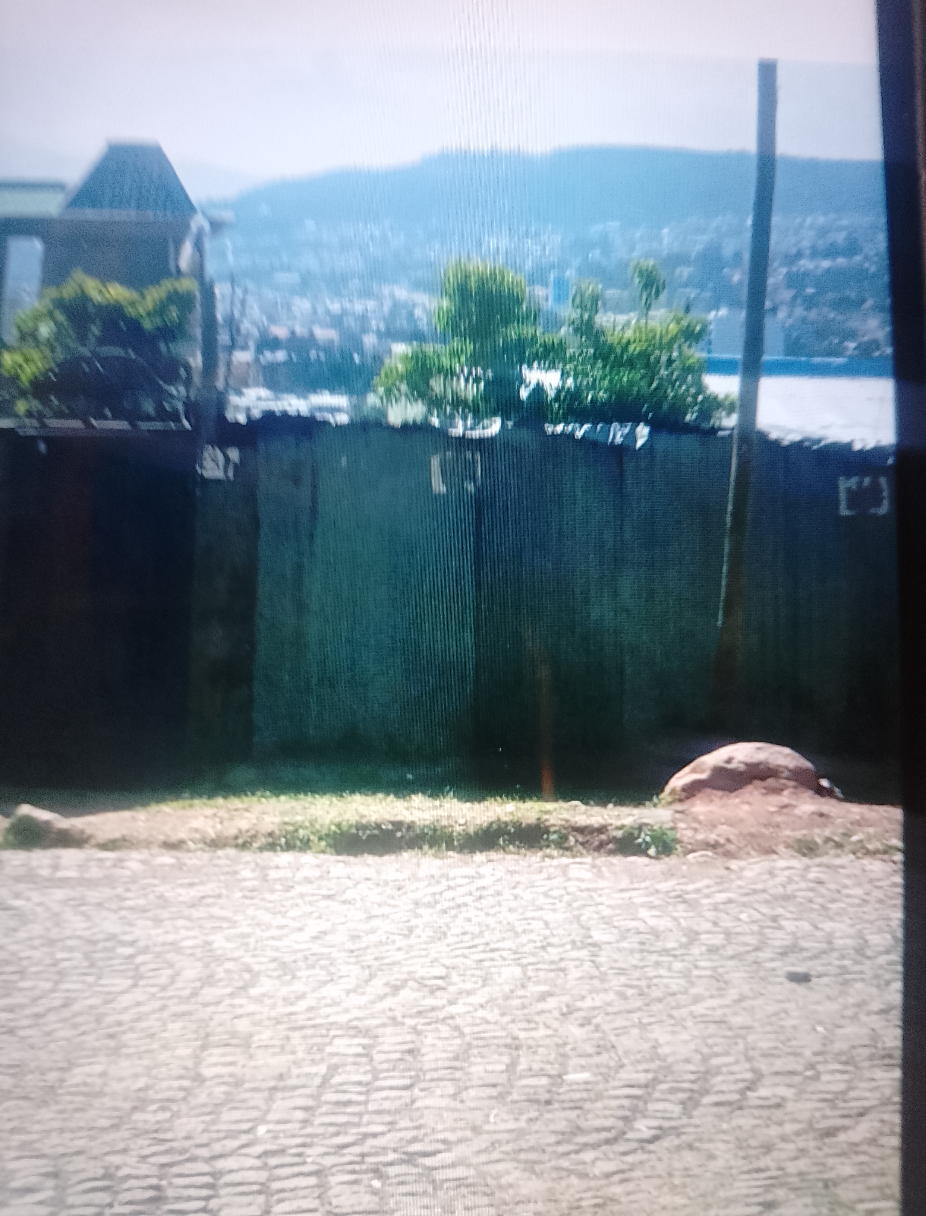 Selected property view
