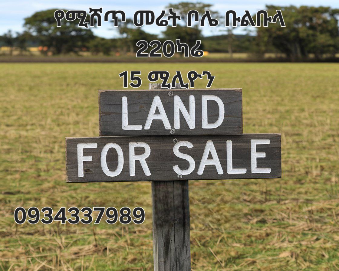 Selected property view