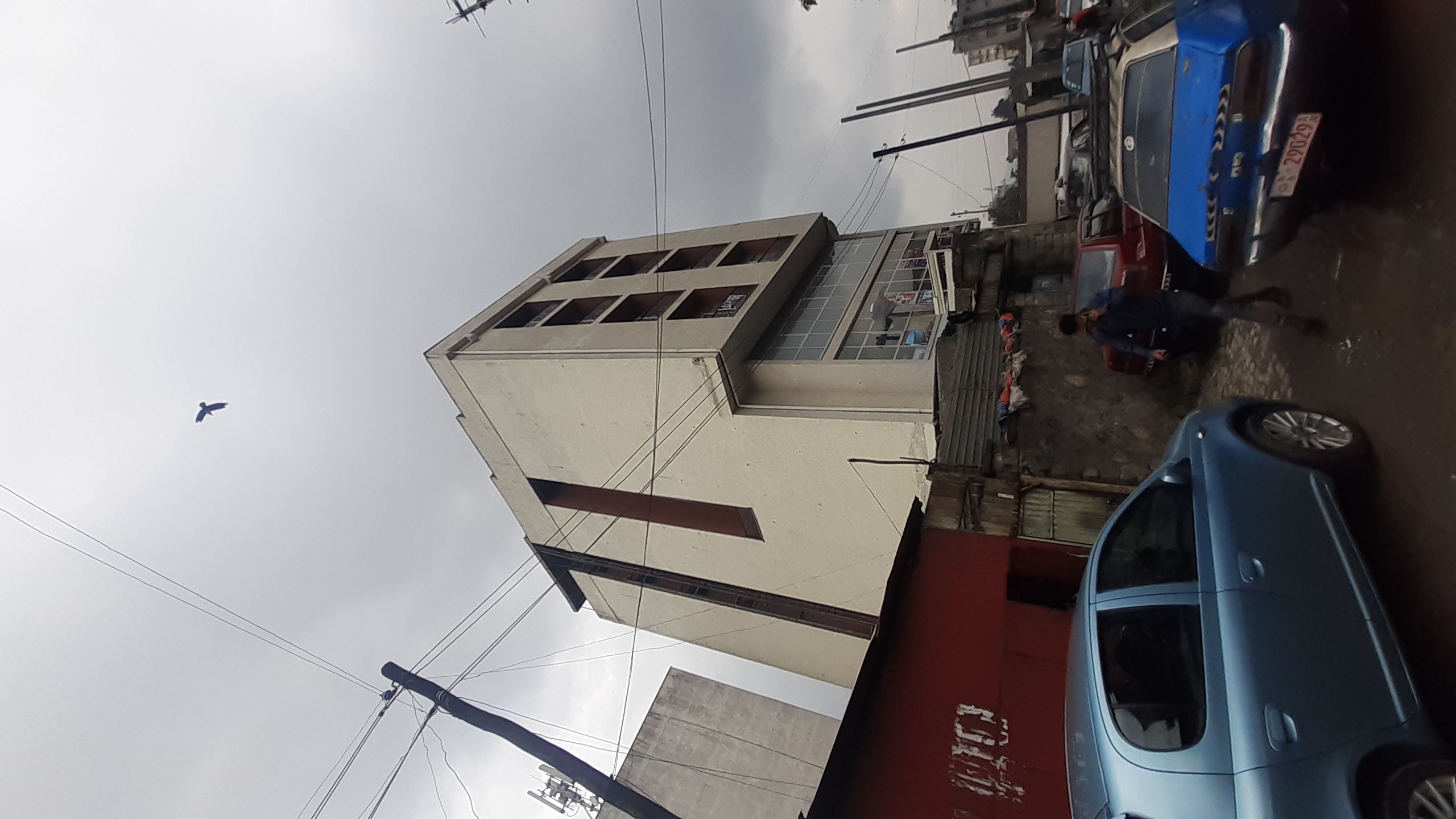 Selected property view