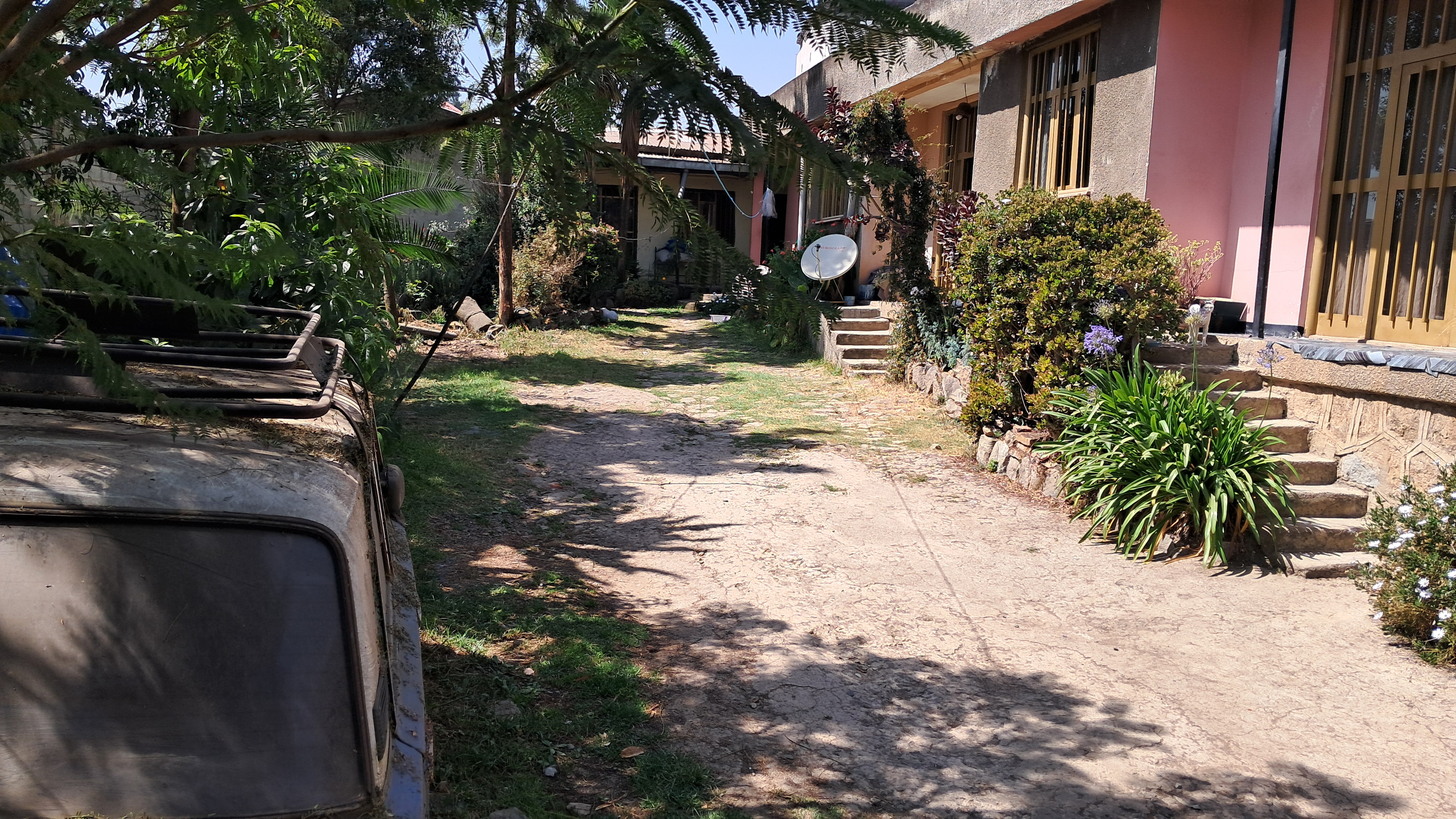 Selected property view