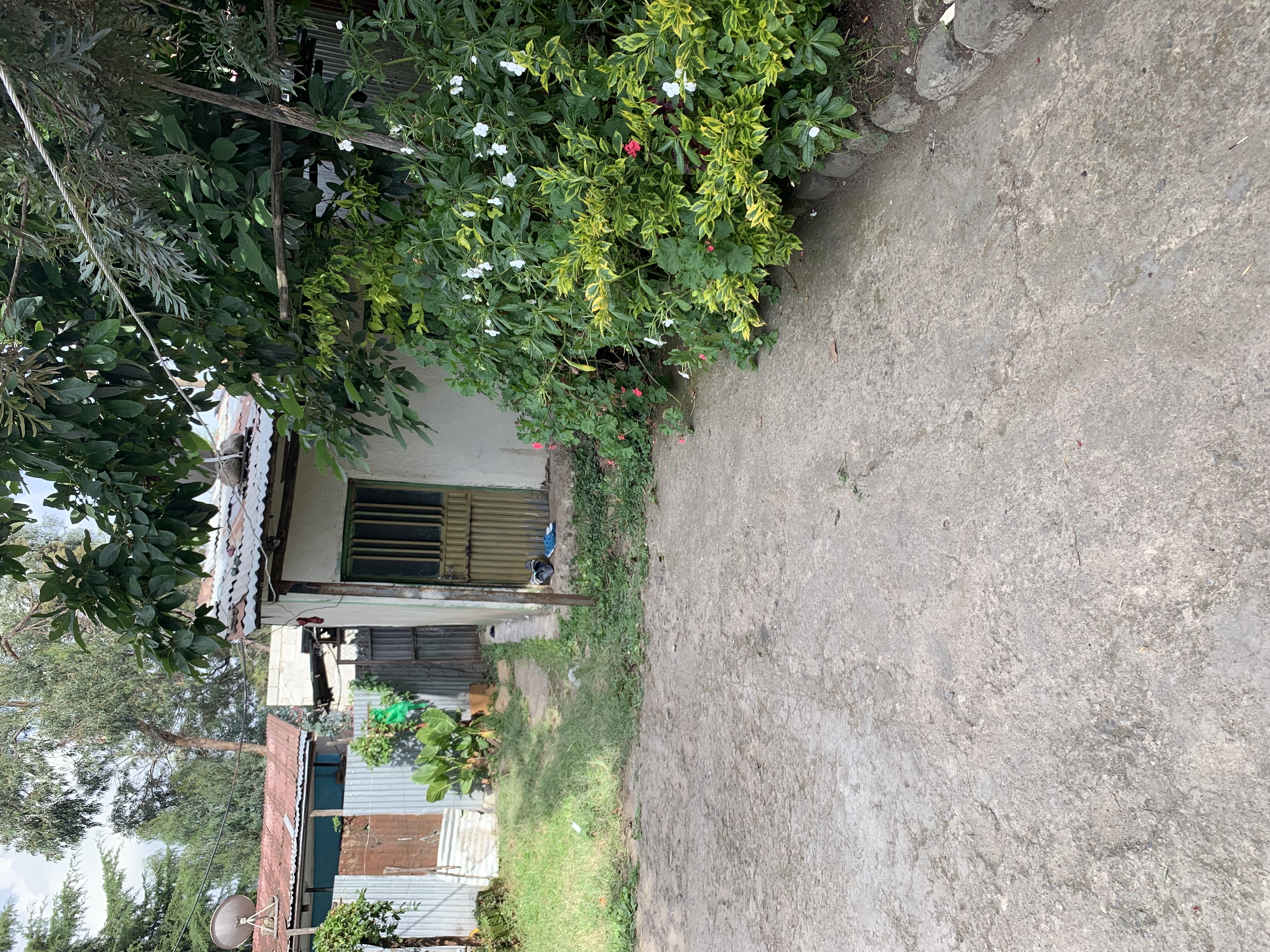 Selected property view