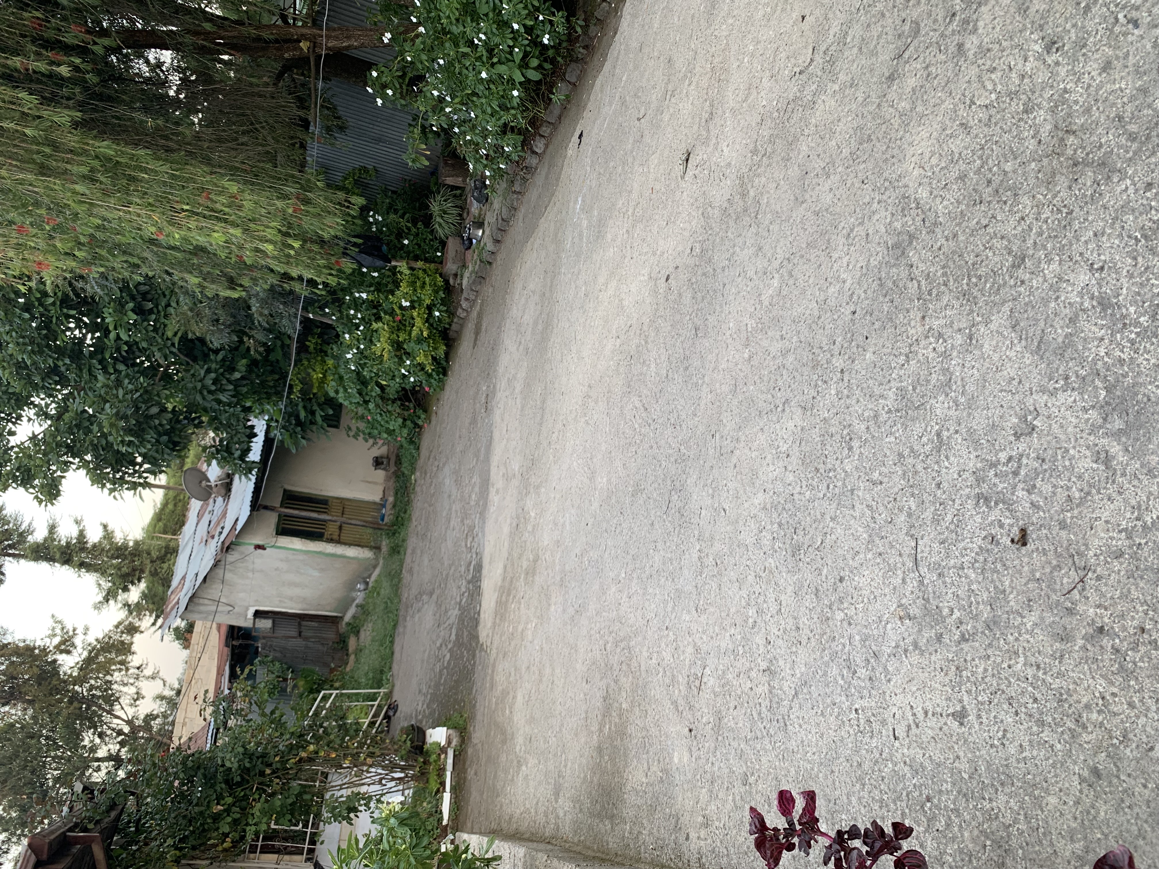 Property thumbnail 4