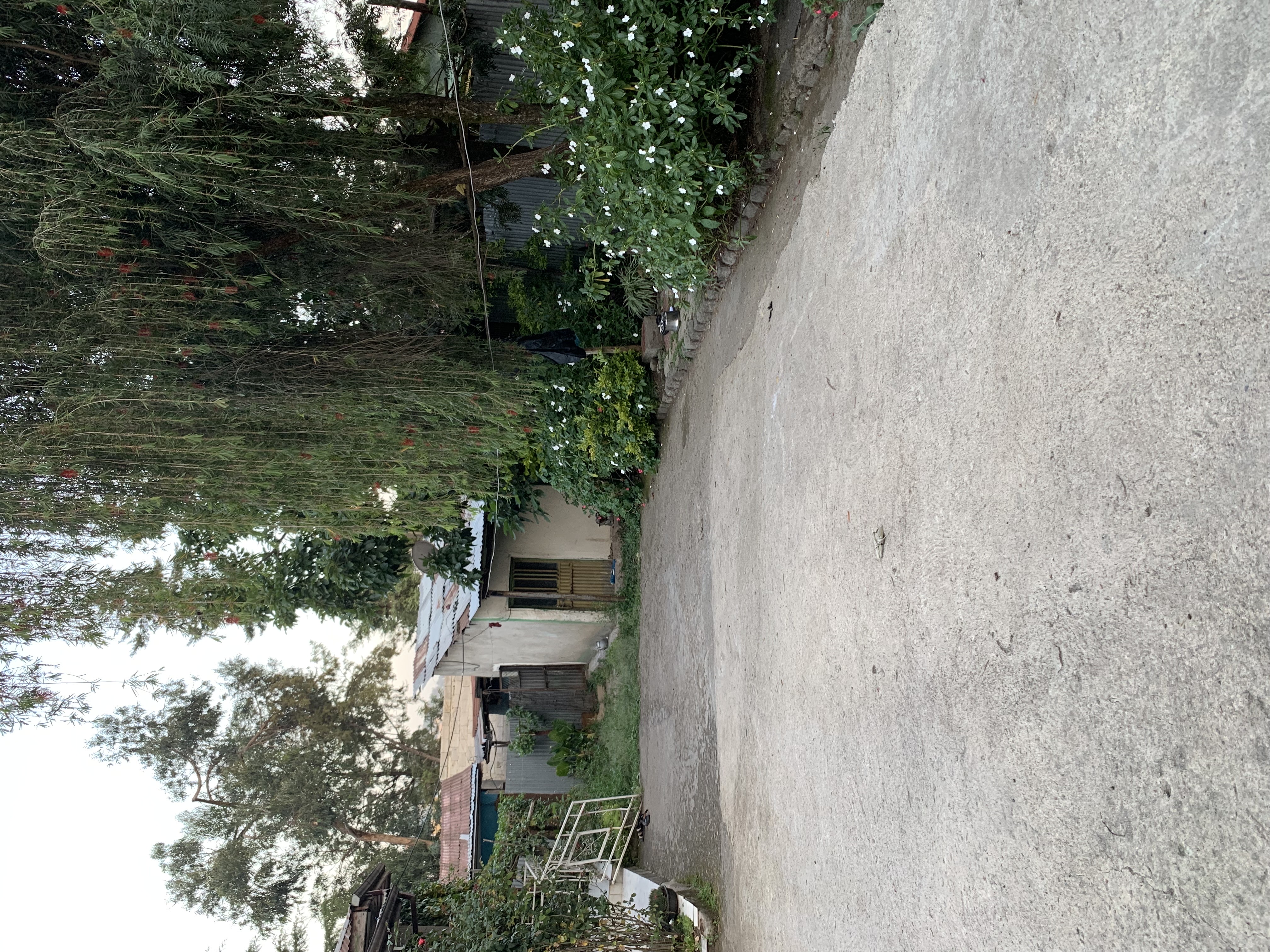 Property thumbnail 6