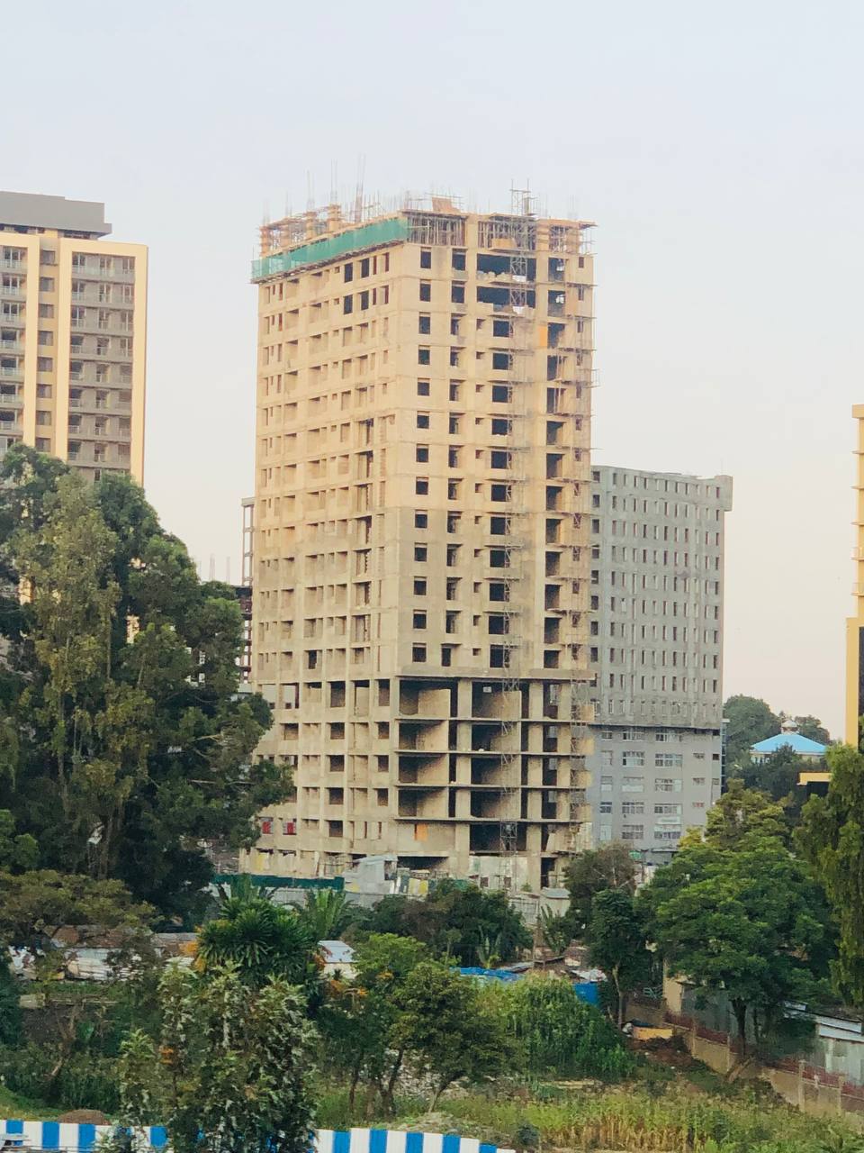 Selected property view