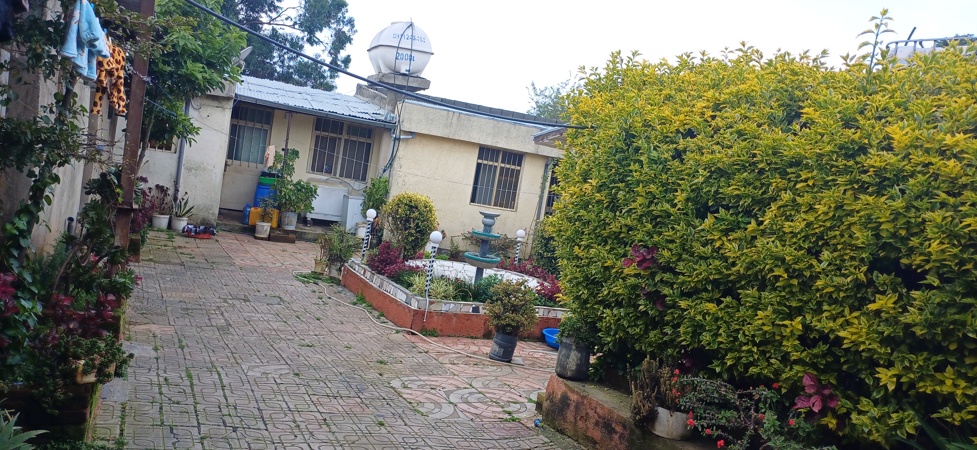 Property thumbnail 3
