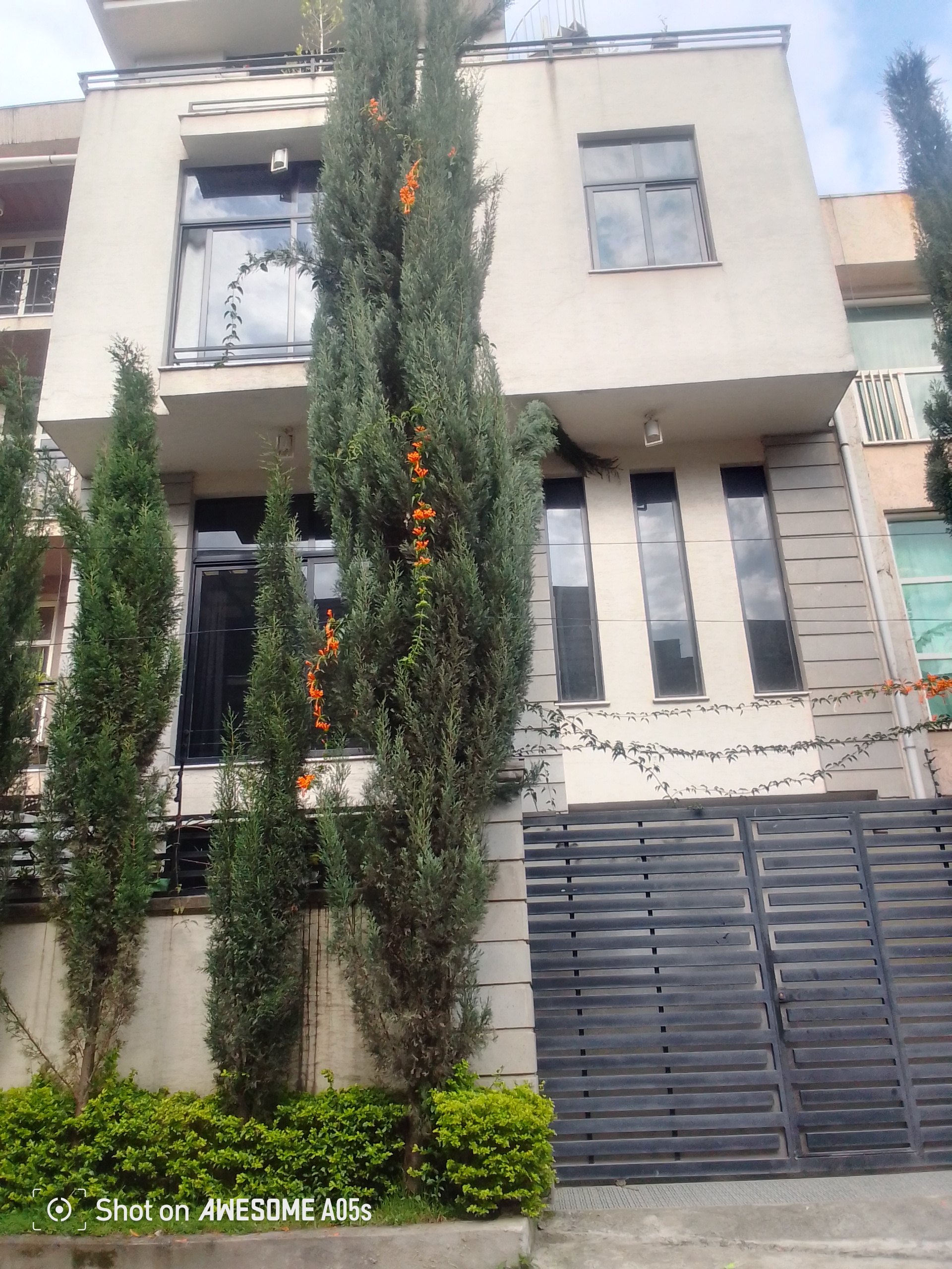 Selected property view