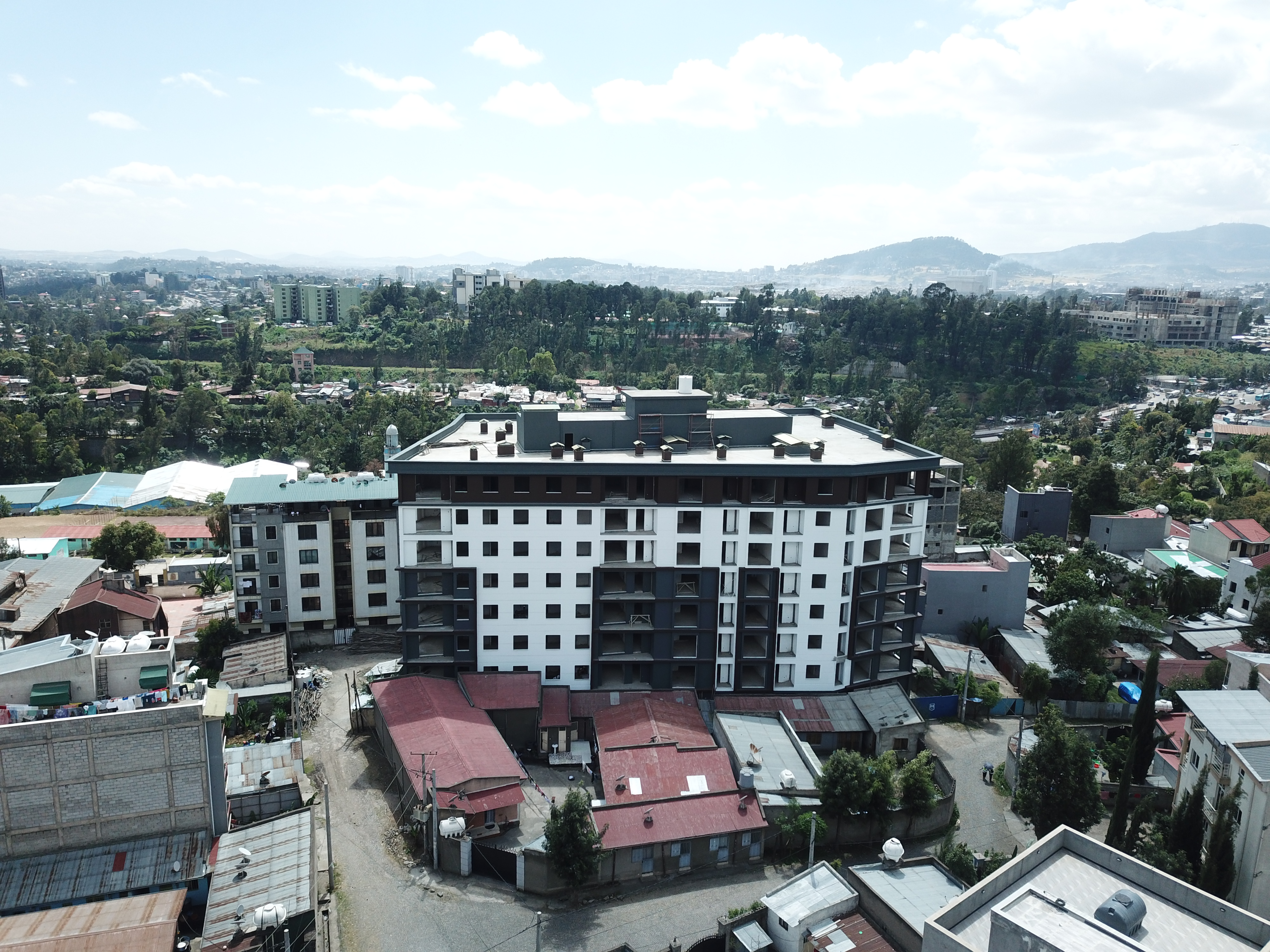 Selected property view