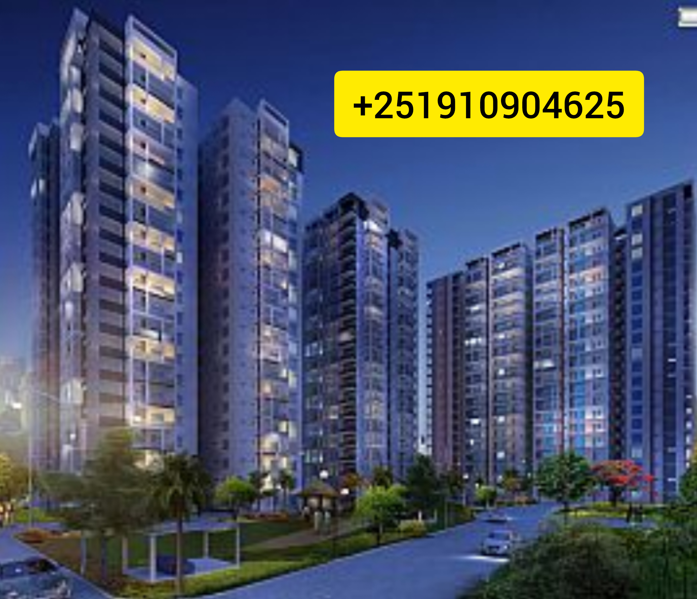 Selected property view