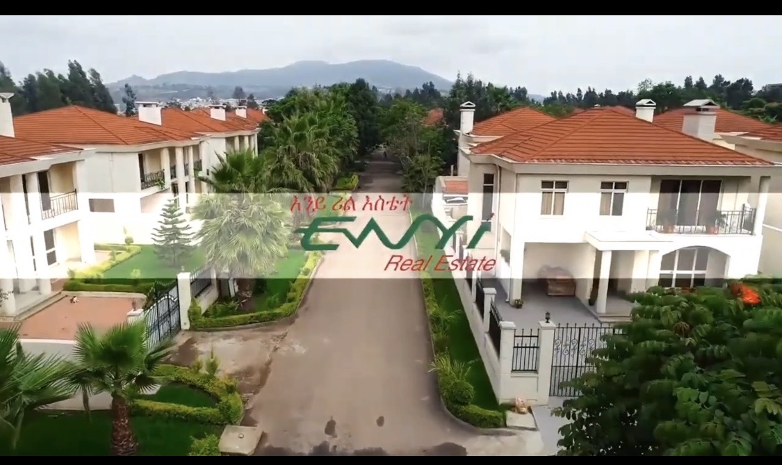 Selected property view