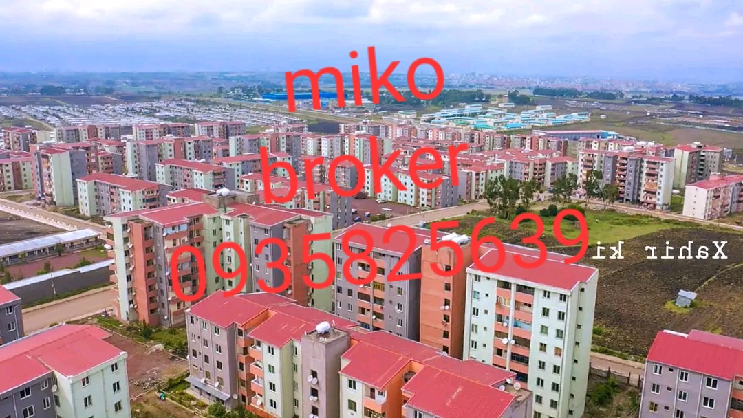 Selected property view