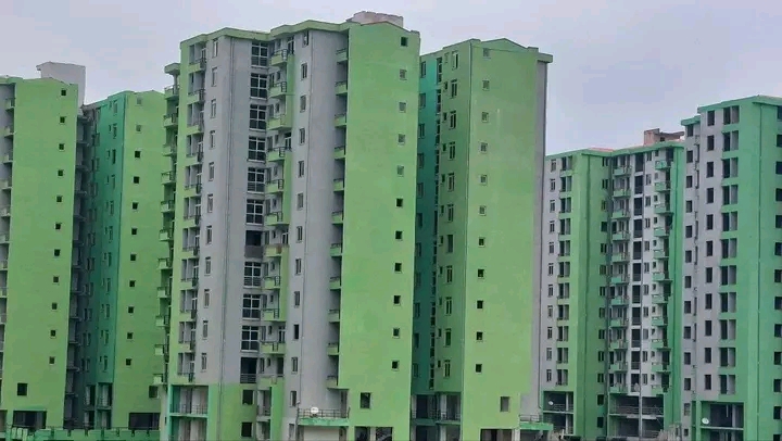 Selected property view