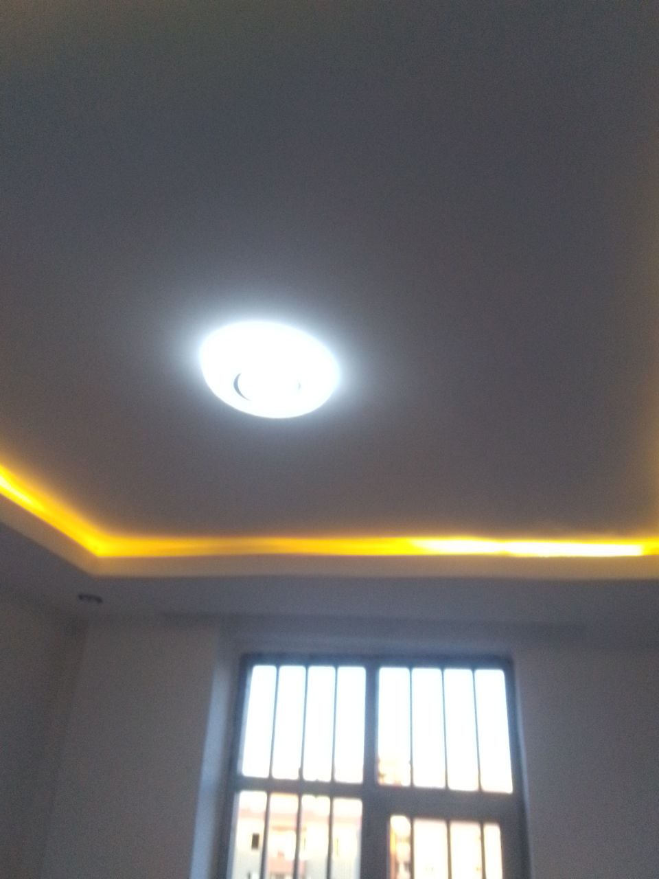Selected property view