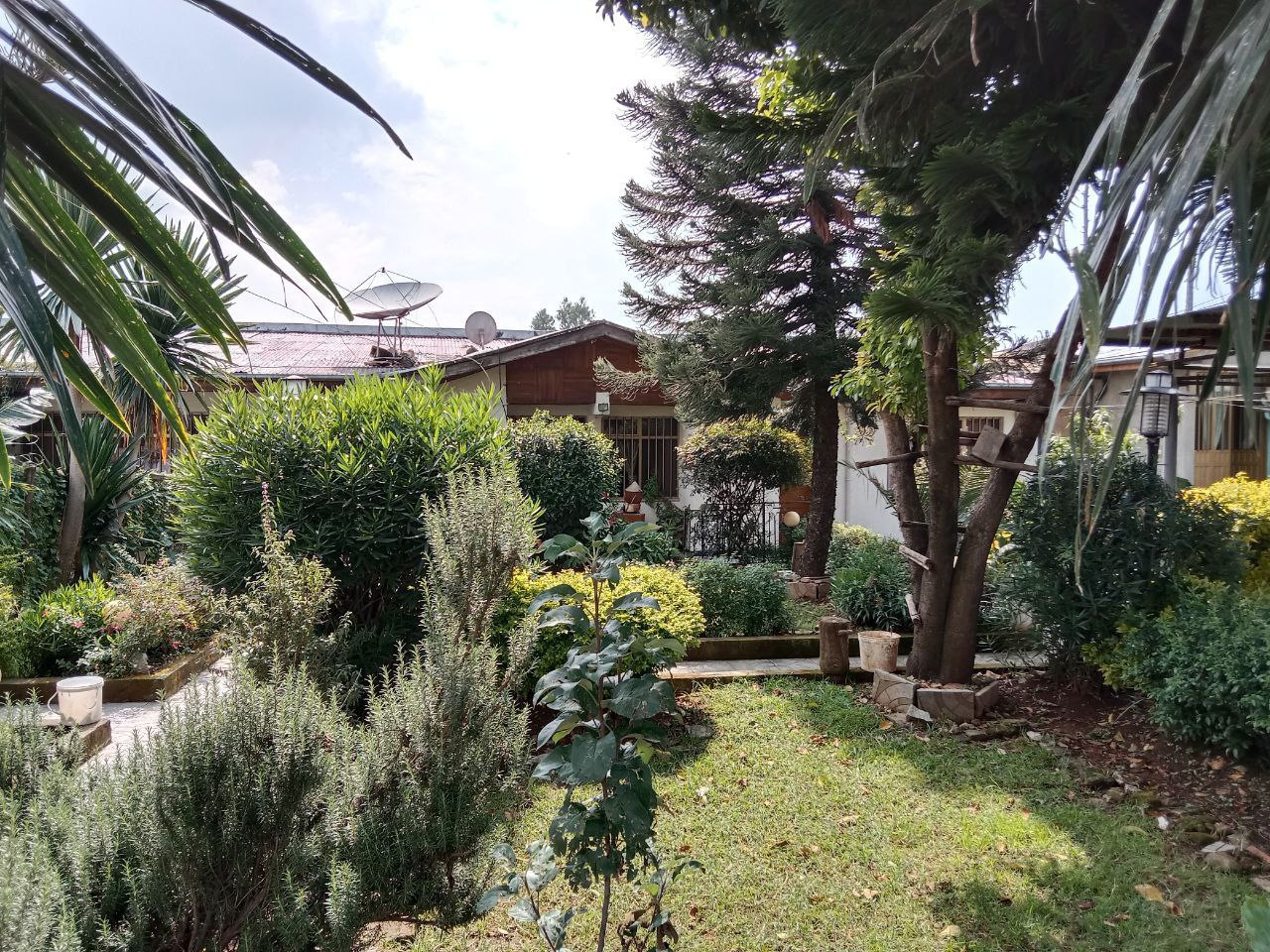 Selected property view