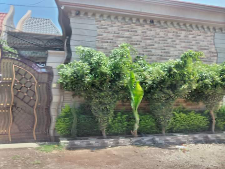 Selected property view