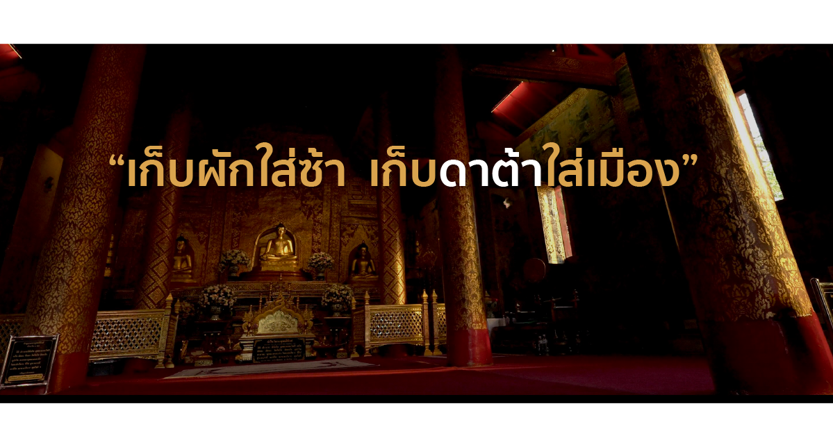 เก็บผักใส่ซ้า-เชียงใหม่