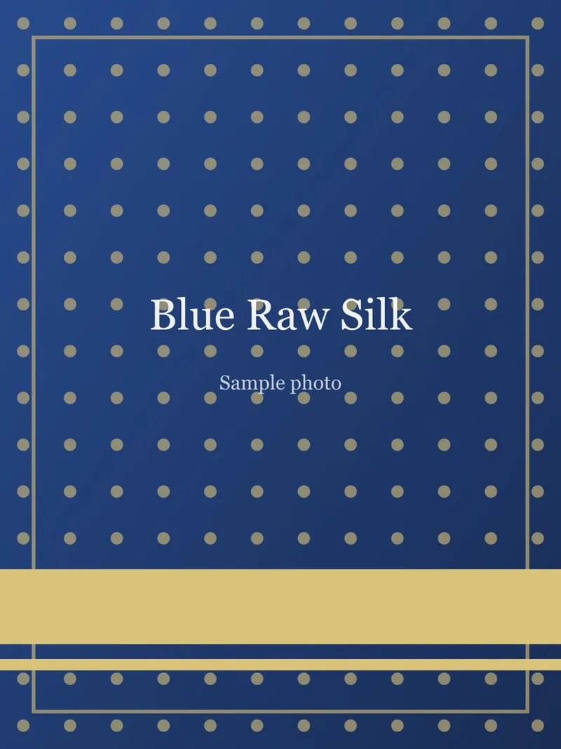 Blue Zardozi Pallu Raw Silk Saree Blue Raw Silk saree