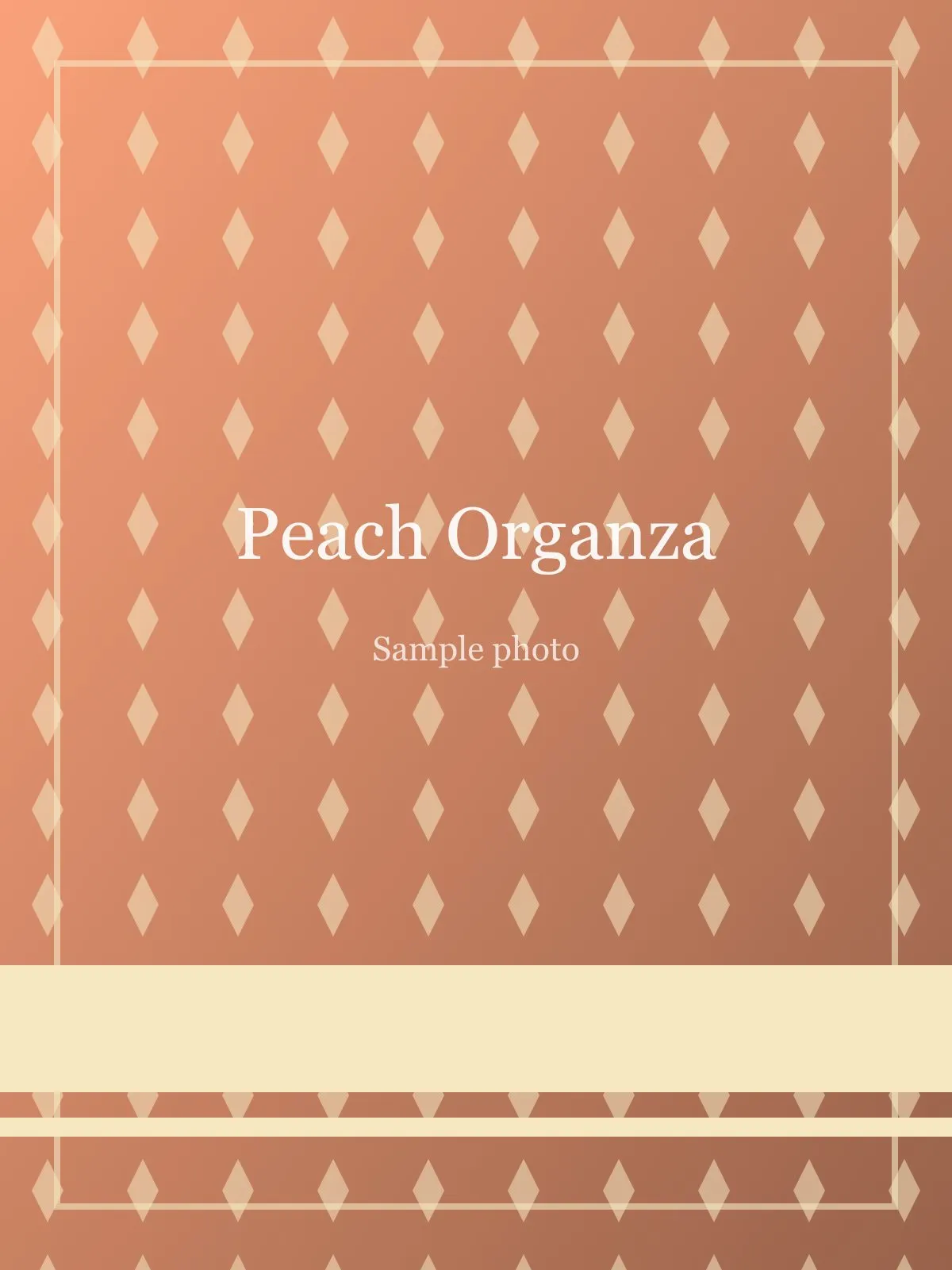 Peach Hand-painted Bloom Organza Saree Peach Organza saree