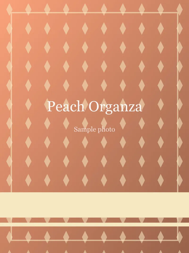 Peach Hand-painted Bloom Organza Saree Peach Organza saree