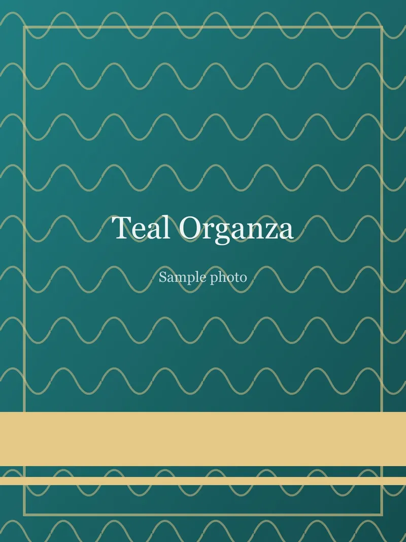 Teal Pastel Ombre Organza Saree Teal Organza saree
