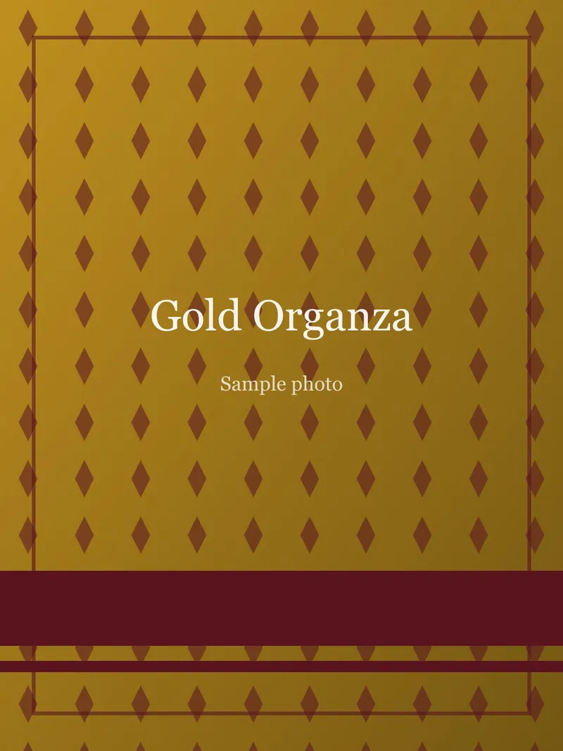 Gold Floral Embroidered Organza Saree Gold Organza saree