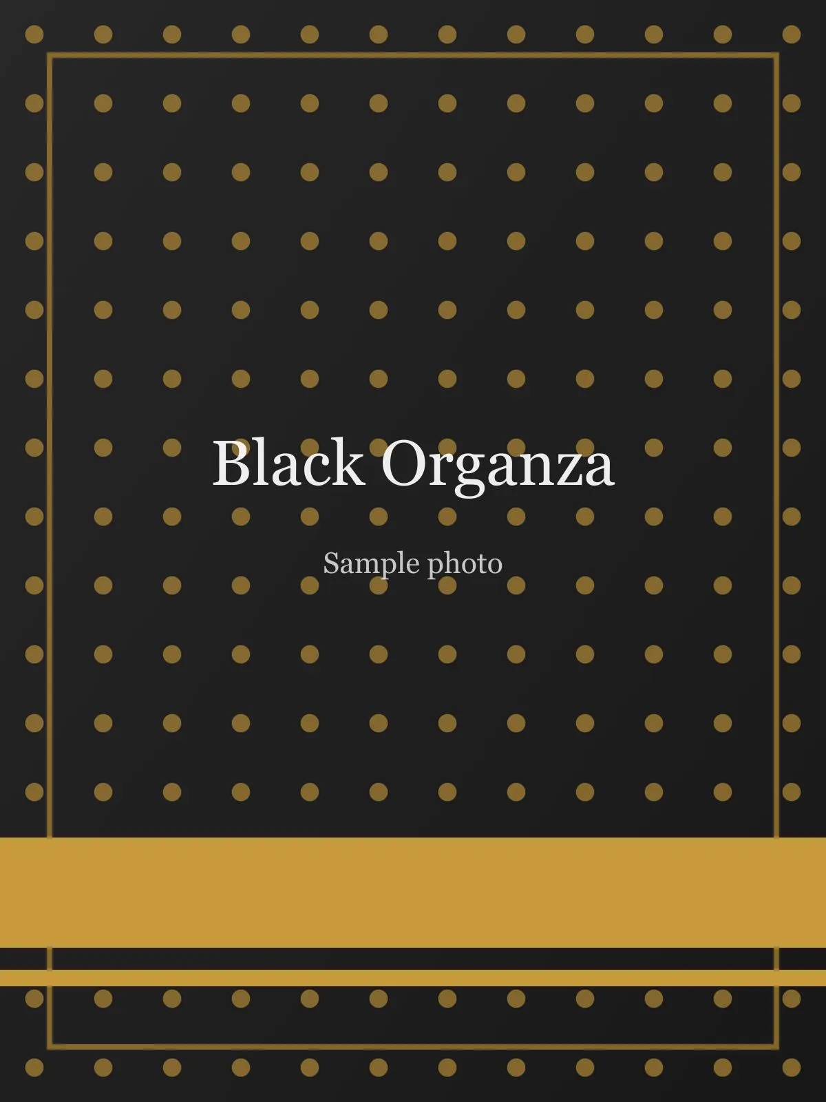 Black Pearl Border Organza Saree Black Organza saree