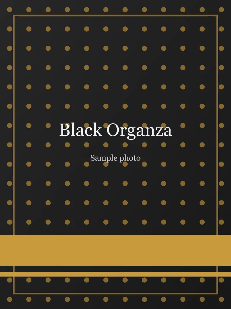 Black Pearl Border Organza Saree Black Organza saree